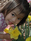 Ruby with season's first daffodils